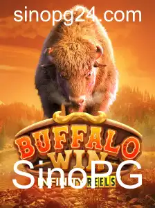 Explorando o Fascinante Mundo de BuffaloWin: Uma Jornada em SinoPG